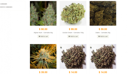 Cannabis - Seeds Cannabis - Drugs Shop hash