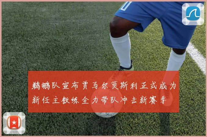 鹈鹕队宣布贾马尔莫斯利正式成为新任主教练全力带队冲击新赛季
