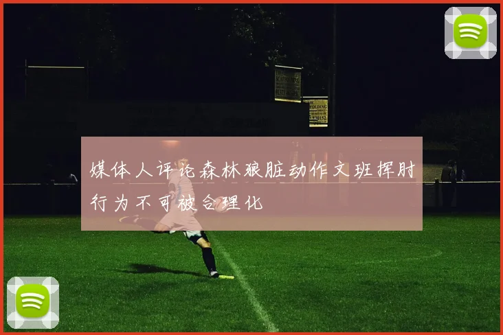 媒体人评论森林狼脏动作文班挥肘行为不可被合理化