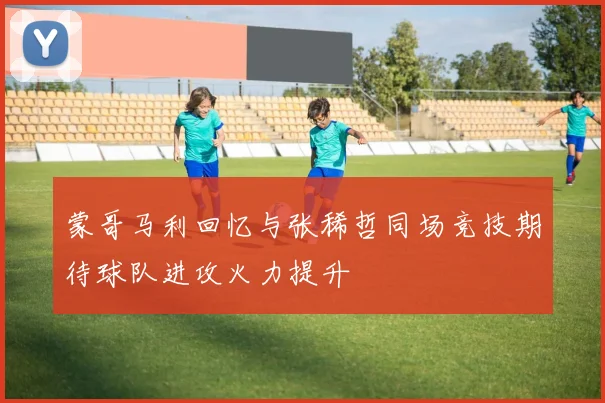 蒙哥马利回忆与张稀哲同场竞技期待球队进攻火力提升