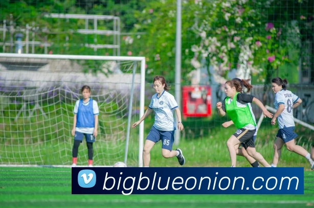 对战数据统计